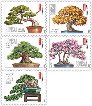 Bonsai Tree Forever Collection – Timeless Botanical Elegance for Everyday & Special Occasions 100pcs/Pack (20pcs/Booklet)
