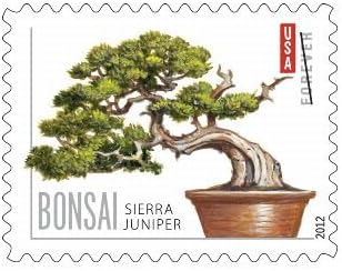 Bonsai Tree Forever Collection – Timeless Botanical Elegance for Everyday & Special Occasions 100pcs/Pack (20pcs/Booklet)