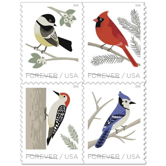 Birds in Winter – Forever Collection of 20 Seasonal Illustrations | 100pcs/Pack (20pcs/Booklet)