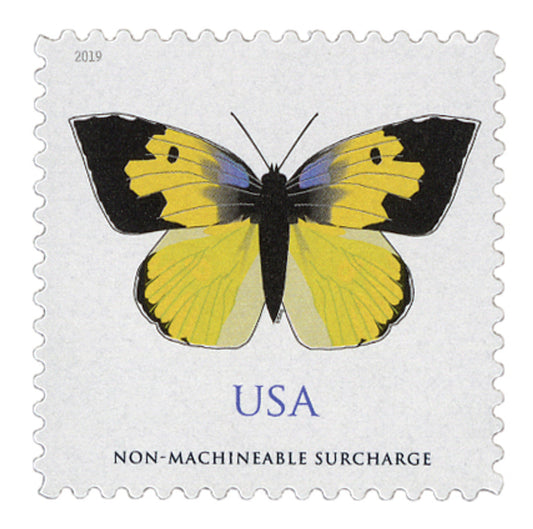 California Dogface Butterfly Label Collection for Square Envelope Use – Nature-Inspired Design 100pcs/Pack (20pcs/Booklet)