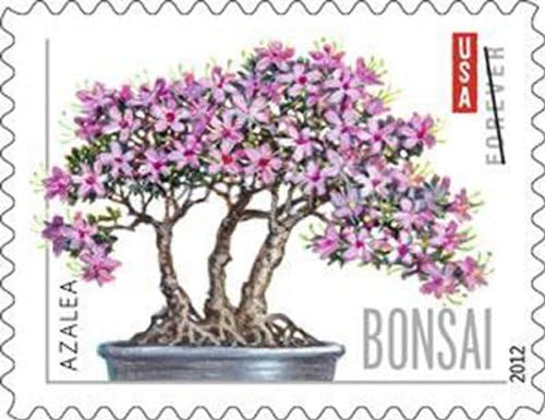 Bonsai Tree Forever Collection – Timeless Botanical Elegance for Everyday & Special Occasions 100pcs/Pack (20pcs/Booklet)