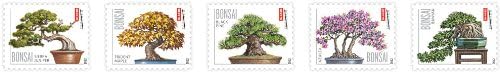 Bonsai Tree Forever Collection – Timeless Botanical Elegance for Everyday & Special Occasions 100pcs/Pack (20pcs/Booklet)